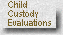 child custody evaluation | child custody } Reevaluating the Evaluators