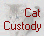 custody evaluators domestic violence