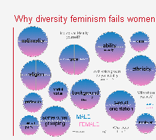Why diversity feminism fails women