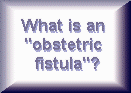 Obstetric Fistula