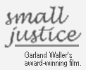 SMALL JUSTICE Garland Waller therapeutic jurisprudence custody evaluating parenting evaluators