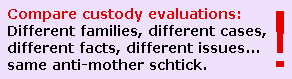 Custody Evaluation Training Minnesota