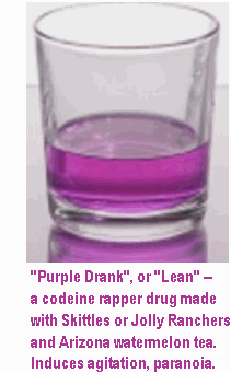 Trayvon Martin bought Skittles and iced tea to make purple drank, and a blunt for smoking pot -- not a little 
kid innocent trip to the convenience store